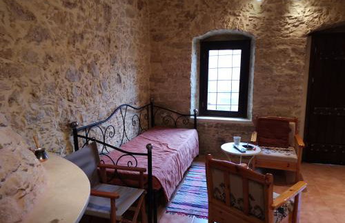 Stone Mansion of 1890 - Foto 41