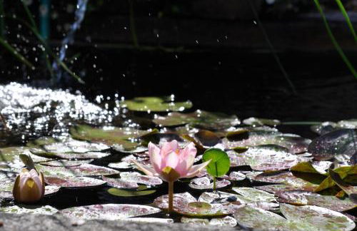 Il Casale del Duca - Foto 13