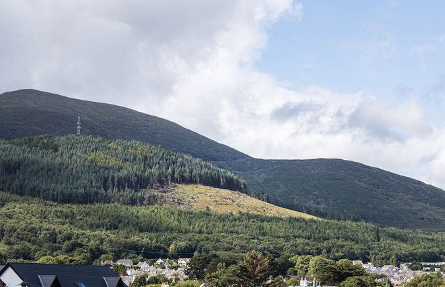 The Views - Photo 29