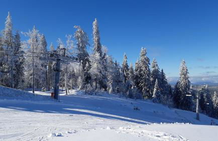 CHALET LES EPILOBES - Foto 10