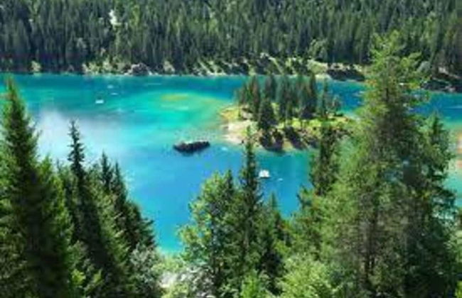 Renovated 3 Rooms Apartment in Ruschein Near Laax - Foto 42