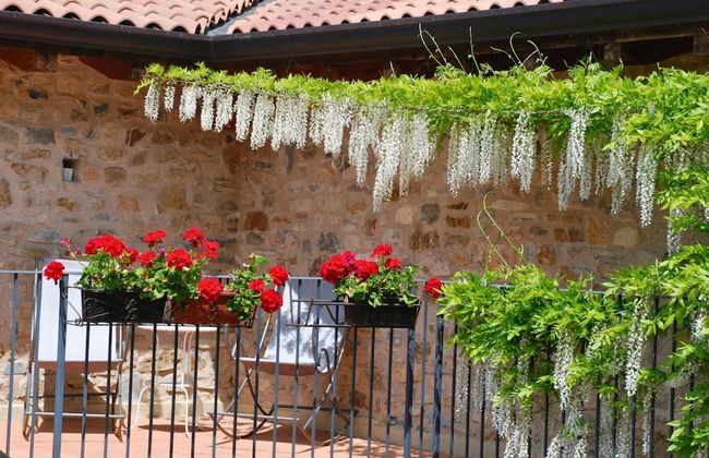 Podere Conti - Photo 18