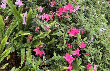 Paz y Tranquilidad a 30 minutos de Orlando - Foto 47