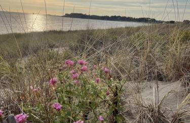 À deux pas de la plage du Fogeo Arzon - Foto 43