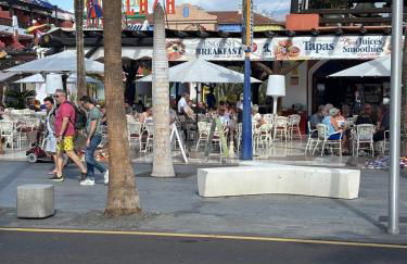 Parque Santiago 1, 318, Tenerife Dream Properties - Photo 27