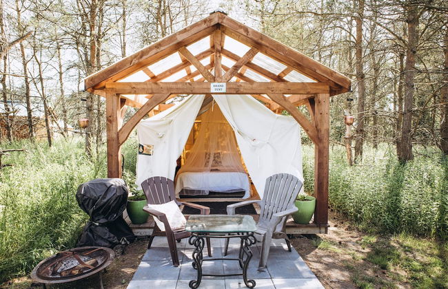 Dreamers Writing Farm - Foto 24