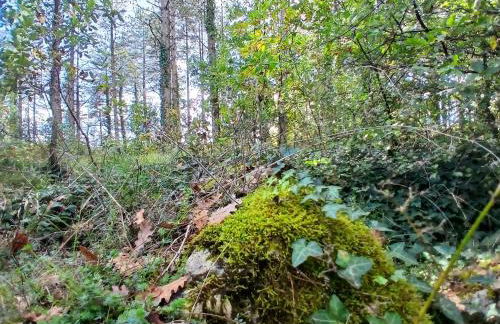 Les Gîtes de La Moure Basse - Foto 22