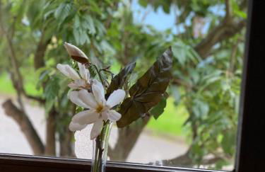 Ferienwohnung Hopfengarten - Foto 7