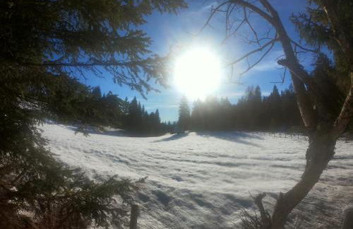 Appartamento Agritur nel Verde - Photo 31