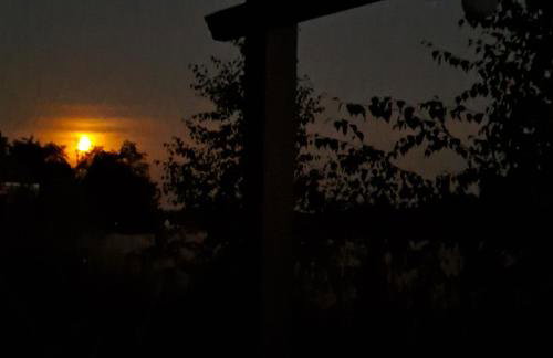 Brzozowe Ostrowie - Foto 12