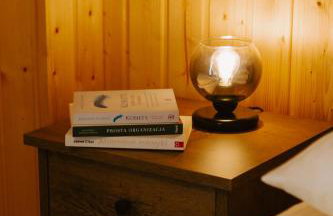 Brzozowa Osada - Foto 18