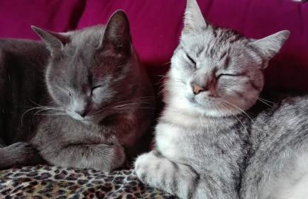 La Casita Azul, L'Escala, Con climatización - Foto 24