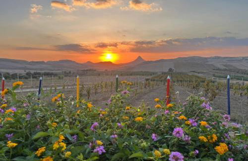 Agriturismo Green Planet - Foto 18