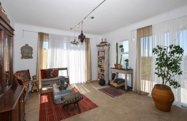 The Happy Cactus - Foto 35