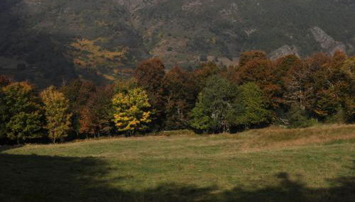 Apartamentos Rurales Casa Baltasar - Foto 5