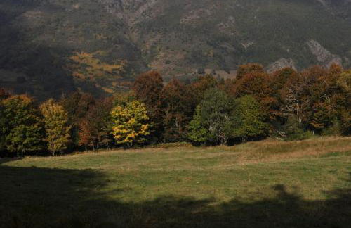 Apartamentos Rurales Casa Baltasar - Foto 5