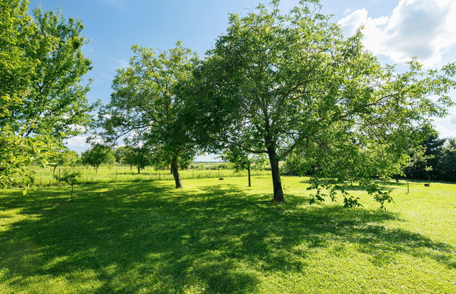 Meretei Porta - Foto 30