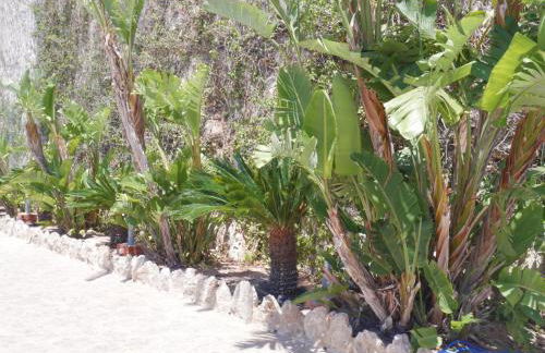 Bellaterra, BQ-2, BAJO A - Foto 4