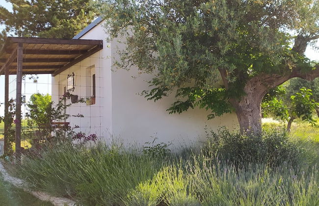 Il Giardino fra gli Ulivi - Foto 42