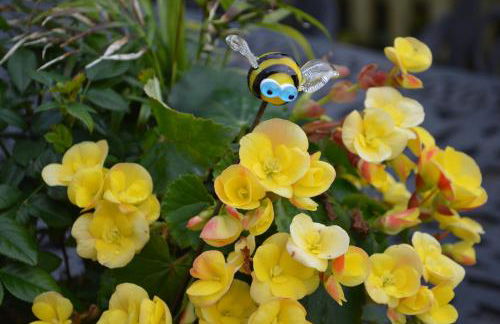 Bumble Bee Cottage - Foto 22