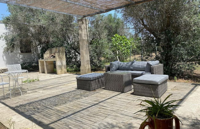 Tenuta Sidore - Foto 54