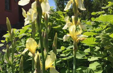 Landidyll - Bauernhaus Ländchen Bellin - Photo 53
