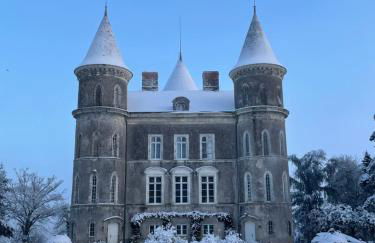 Château Doré les Tours - Appartement Loup - Proche Puy du Fou - Foto 53