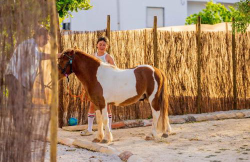 La Quinta da Liberdade - Ferme de charme en Algarve - Foto 45