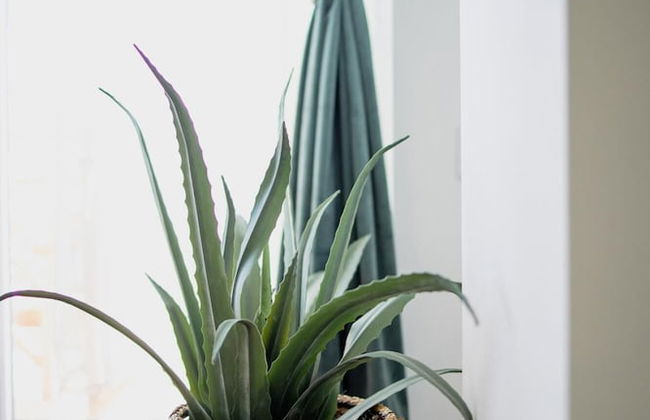 Valentini s Uptown Flat - Foto 18