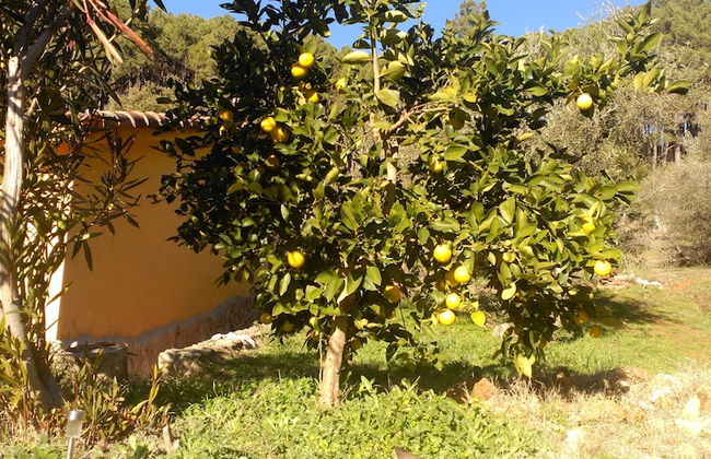 Casa Rural Las Gesillas - Foto 20