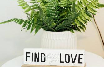 Hemingway KeyWest Vibes-mid term 2BR/1ba | St Pete - Foto 48