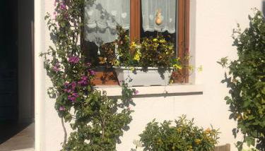 Cœur de sousto - Foto 2