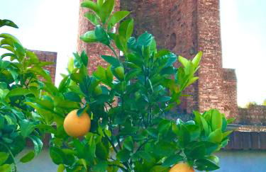 CA' DEL SOLE ITALIA - Attico Panoramico in Centro Storico - Photo 51