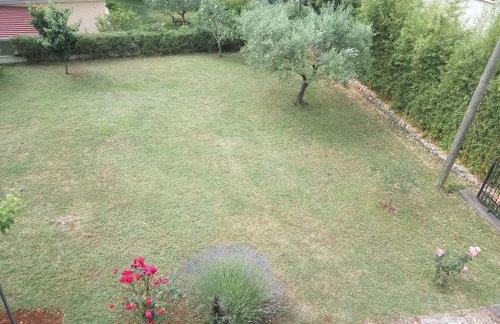 Apartment Asparagus - Photo 21