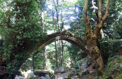 Villa Zina in Pelion - Foto 15