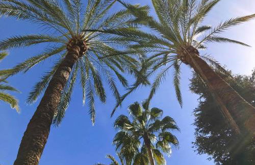 Vivaldi Boutique Suites Jardines del Mar - Foto 24