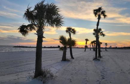 Seaside Gem - Foto 39