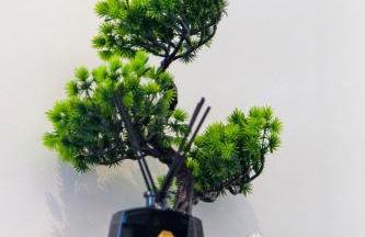 SEE - Gare de Marly - Foto 53