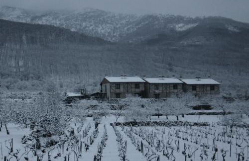 El Canchal de la Gallina -Cafetería -Aparcamiento gratis - Jacuzzi - Piscina de agua caliente abierta desde el 28 de Marzo - Foto 27