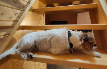 Leśna Oaza - Foto 32