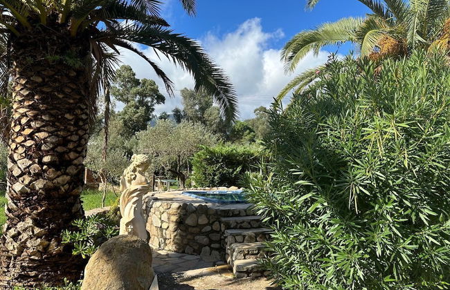 residence dolores castle - Foto 15