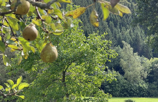 Ardennes Villa With Riverside Garden and Views - Photo 25