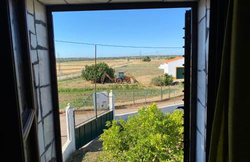 Painel de Monsaraz - Foto 65