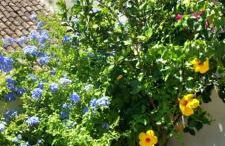 LA POSADA DE LA MUELA - Photo 75