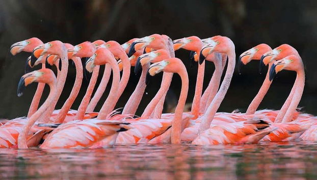 Río Negro Valley + Bubalcó Ecopark Tour - Photo 2