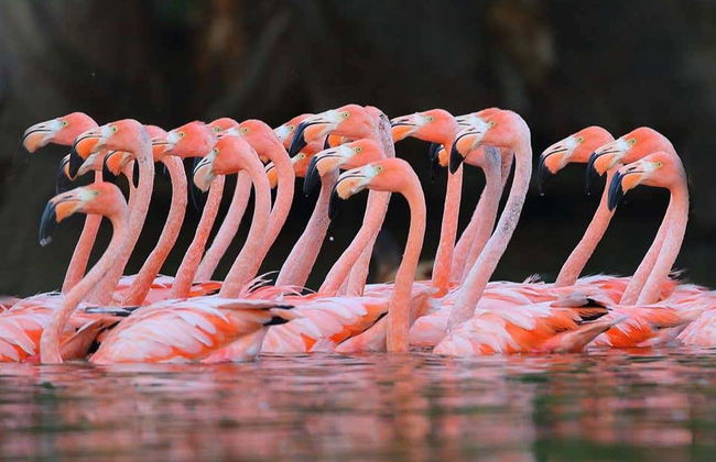 Excursion au Valle del Río Negro + Ecoparc Bubalcó - Photo 2