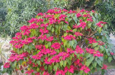 Flat encantador com lazer - Foto 25