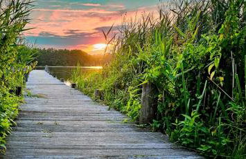 Ferienhaus SüdWest - Photo 28