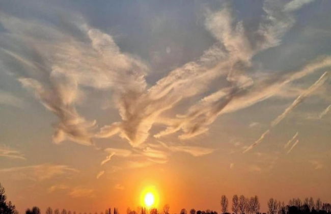 Villa Oesterdam Wellness 16 People - Foto 39