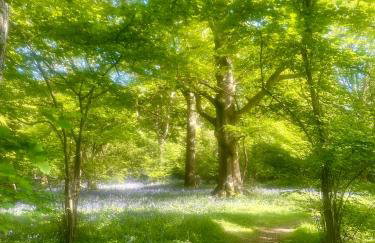 The Granary - Foto 52